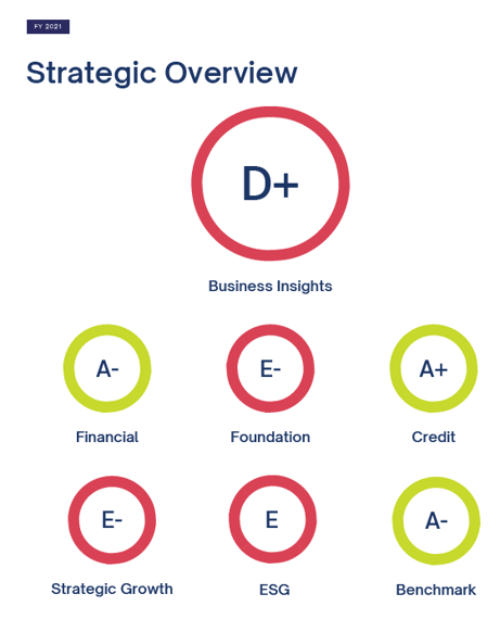 Strategic Overview