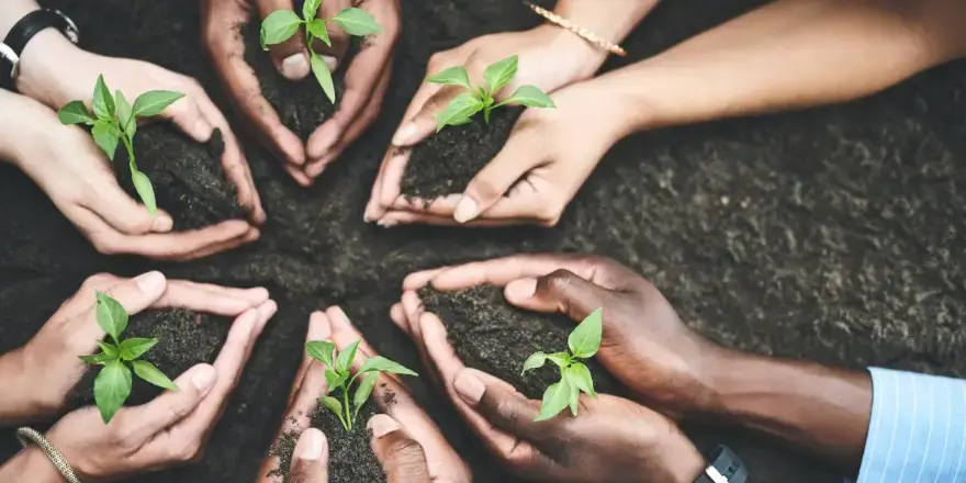 Why an ESOP Is a Smart Move Before Selling Your Business