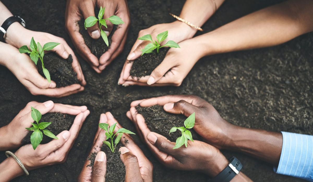 Unlocking Value and Reducing Risk: Why an ESOP Is a Smart Move Before Selling Your Business