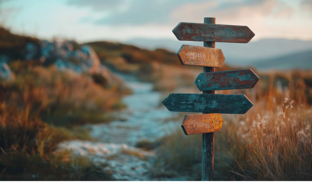 Pathway Options for Business Owners: Choosing the Right Route