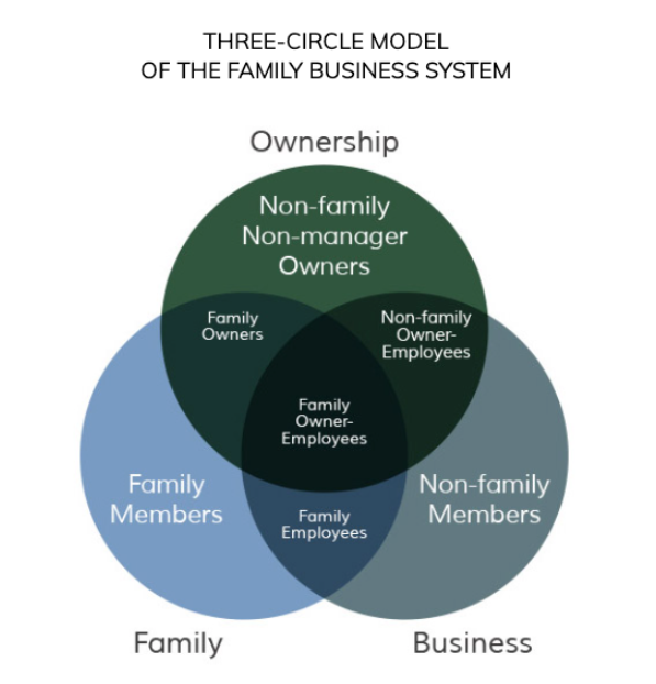 three-circle model of family business systems