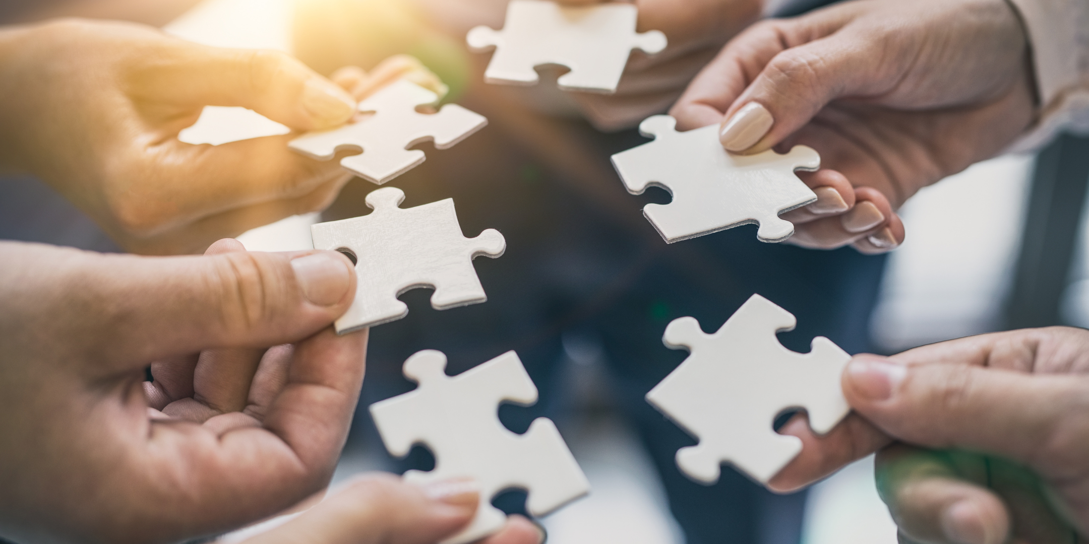 Employee Ownership: Transforming Businesses from Within